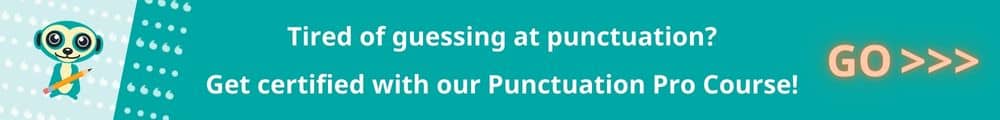 Punctuation Pro banner ad