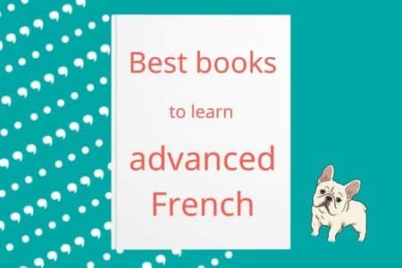 The Best Books to Learn Advanced French 2024